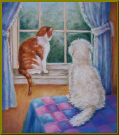 cat and dog-an.jpg